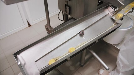 Egg Breaking Machine On Conveyor Line, Close-Up - Powered by Adobe