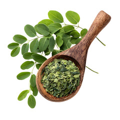 Premium Fresh and Dried Moringa Oleifera Leaves for Health and Wellness