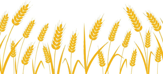 Golden wheat field vector graphic element design for agricultural themes