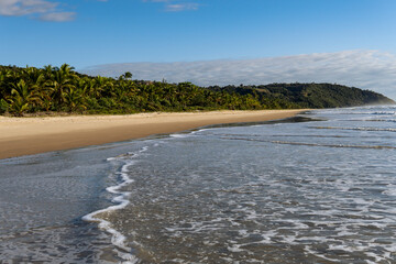 Serra Grande Bahia Authentic Tropical Landscapes Sea Coconut Trees Blue,Authentic landscape photography from Bahia, Brazil featuring the tropical beauty of Itacaré beaches with deep blue ocean