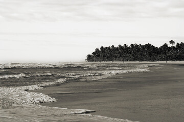 Serra Grande Bahia Authentic Tropical Landscapes Sea Coconut Trees Blue,Authentic landscape photography from Bahia, Brazil featuring the tropical beauty of Itacaré beaches with deep blue ocean