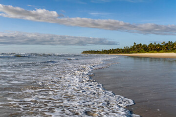 Serra Grande Bahia Authentic Tropical Landscapes Sea Coconut Trees Blue,Authentic landscape photography from Bahia, Brazil featuring the tropical beauty of Itacaré beaches with deep blue ocean