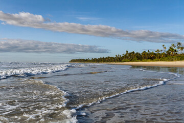 Serra Grande Bahia Authentic Tropical Landscapes Sea Coconut Trees Blue,Authentic landscape photography from Bahia, Brazil featuring the tropical beauty of Itacaré beaches with deep blue ocean