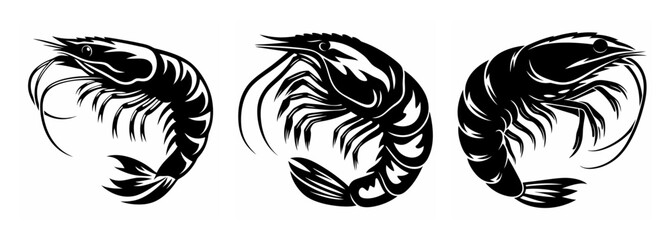 Detailed monochrome sketch of three curled shrimp facing different directions for artistic use