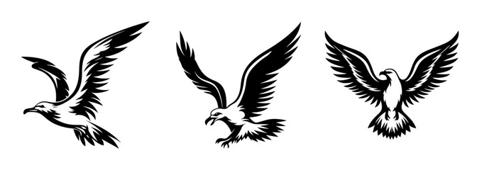 Obraz premium Dynamic trio of seagulls in flight capturing the essence of freedom and motion