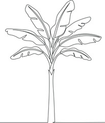 Continuous Line Drawing of a Banana Tree