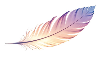 Obraz premium Colorful feather isolated on transparent background, a symbol of lightness and freedom