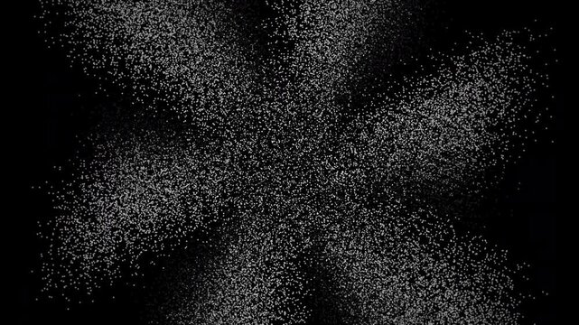 artistic depiction of flower petals arranged in harmonious symmetry against dark backdrop