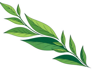 Fototapeta premium Green leaf branch illustration isolated PNG with Transparent Background