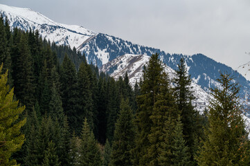 snow covered mountains
