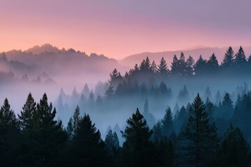 Enchanted Forest Vista: A mesmerizing view of a misty forest landscape at dawn, with layers of trees fading into the soft hues of the sky.
