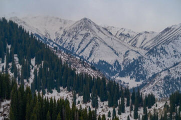 snow covered mountains