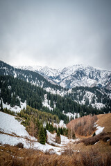 snow covered mountains