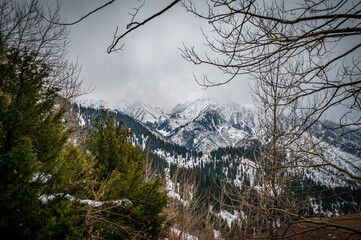 snow covered mountains