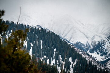 snow covered mountains in winter