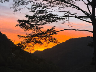 Dramatic tree branches silhouetted against a fiery orange and pink sunrise sky over the mountains of Wulai, New Taipei City, Taiwan.