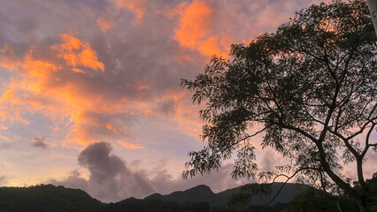 Dramatic orange and purple dawn sky with glowing clouds framed by dark tree branches over the mountains of Wulai, New Taipei City, Taiwan.