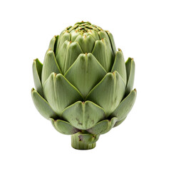 Obraz premium Pure Fresh Artichoke Bud Isolated on Transparent Background 