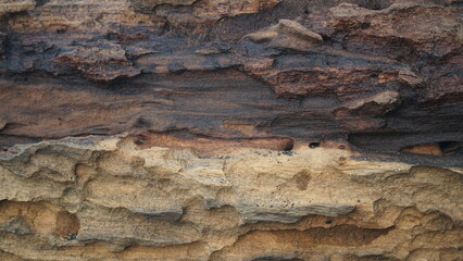 Weathered wooden surface texture. Focus selected