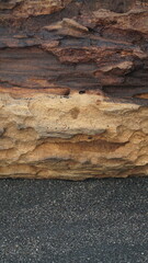 Pieces of weathered wood on the beach sand. Focus selected