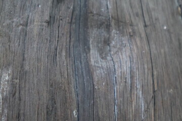 Obraz premium Close up wood texture for Background. 