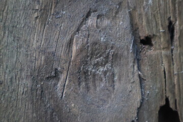 Close up wood texture for Background.
