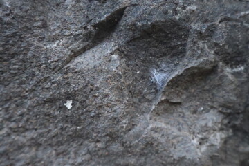 Dark rock texture background.Gray rock slate background