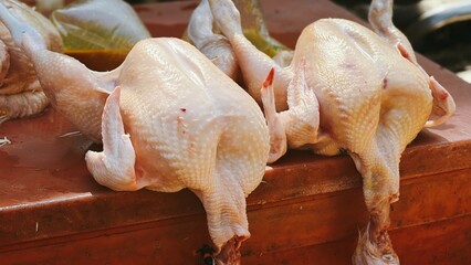 Raw Poultry: Fresh Chickens Ready for Cooking