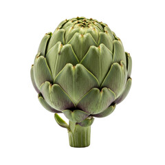 Obraz premium Culinary Artichoke Ingredient Isolated on Transparent Background 