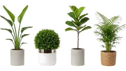 Four potted plants isolated on transparent background
