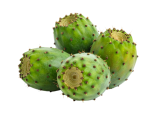 Four vibrant, green, spherical fruits with textured skin and small, brown protrusions, set against a stark, black background