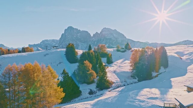 Cinematic aerial drone shot of a golden autumn trees with snow-covered peaks of the Italian Dolomites in the background. Sunrise light highlights the glowing larch trees and the dramatic mountain