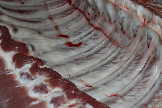 Close-up view of fresh meat showcasing rib structure and muscle texture at a local butcher shop