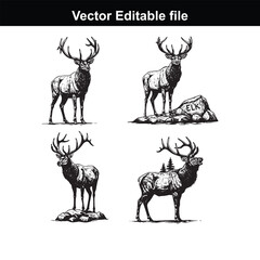 Naklejka premium Set of four handdrawn elk illustrations in black and white, showcasing majestic antlers and detailed fur, isolated on white background
