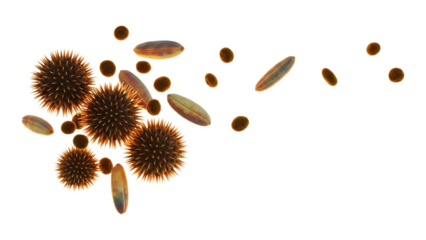 Group of spiky spheres and oval shapes isolated on transparent background