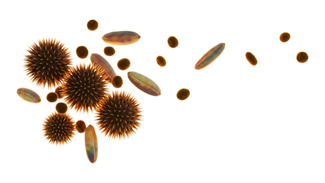 Group of spiky spheres and oval shapes isolated on transparent background