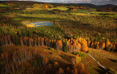 Aerial View of Autumn Forest and Bog Lake near Borov&aacute; Lada, Czech Republic
