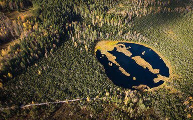 Aerial View of Autumn Forest and Bog Lake near Borov&aacute; Lada, Czech Republic