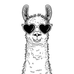 Fototapeta premium Llama wearing heart shaped sunglasses with detailed fur and ears in a black and white illustration style