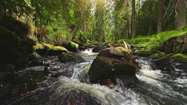 Static 4K footage of a forest stream with clear flowing water and soft birdsong. Relaxing natural ambience captured in a peaceful woodland setting, perfect for meditation and nature videos.