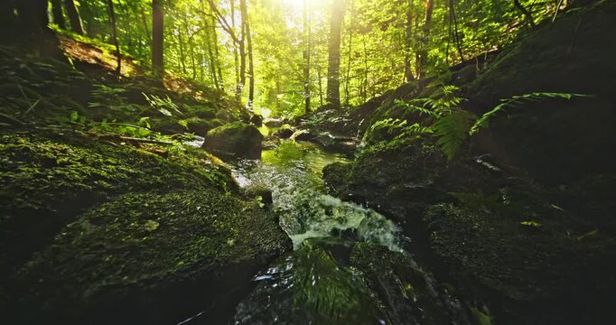 Static 4K footage of a forest stream with clear flowing water and soft birdsong. Relaxing natural ambience captured in a peaceful woodland setting, perfect for meditation and nature videos.