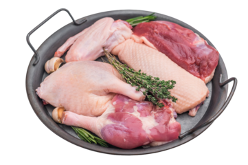 Raw duck parts breast wing thigh and fillet with herbs and garlic in metal pan on white background ideal for gourmet poultry stock images.