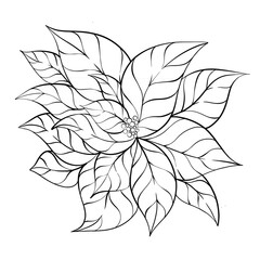 Christmas Poinsettia Flower, Hand-Drawn Festive Floral Line Art for Holiday Decor, Coloring Pages, Greeting Cards, Prints and Seasonal Design Projects