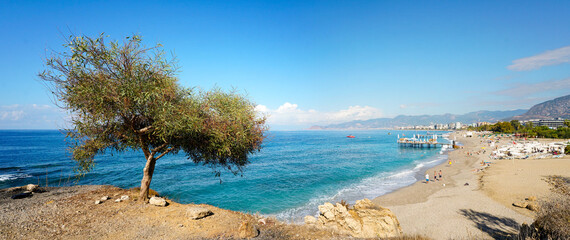 Fototapete bei efototapeten.de bestellen   