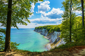 Kreidefelsen an der K&uuml;ste der Ostsee auf der Insel R&uuml;gen