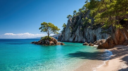 Obraz premium Sunny beach scene with clear turquoise waters lapping against rocky cliffs. A lone pine tree stands near the shore surrounded by a peaceful atmosphere. Perfect for relaxation and nature appreciation.