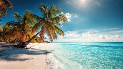 Fototapeta premium Soft waves gently lap the shore of a stunning tropical beach where tall palm trees provide shade and the bright sun shines overhead. The clear turquoise water invites relaxation.