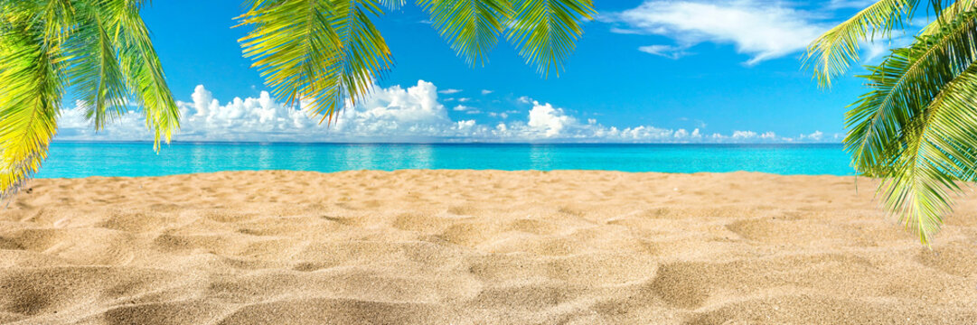 Beautiful ultra wide format background image of deserted sandy beach of tropical island.