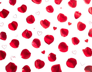 Minimal White Valentine Background with Rose Petals & Line-Art Hearts
