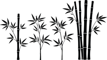 Bamboo Tree and Stem Silhouette Collection, Oriental Flora, Tropical Plant, Japanese Zen Garden, and Nature Icon Set, Isolated Vector Illustration